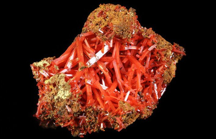 Bright Orange Crocoite Crystals - Tasmania #64357